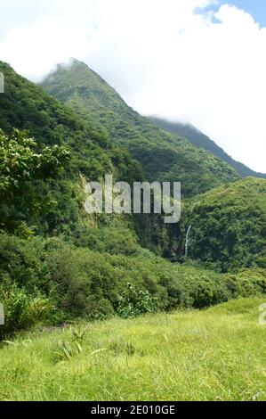 Üppig grüne Berge im Naturpark Te Faaiti. Tahiti - in der Nähe von Papeete. In der Ferne ist ein kleiner Wasserfall zu sehen. Stockfoto