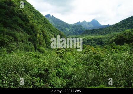 Üppig grüne Berge im Naturpark Te Faaiti. Tahiti - in der Nähe von Papeete. Stockfoto