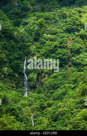 Ein kleiner Wasserfall in den grünen Bergen des Te Faaiti Naturparks. Tahiti - in der Nähe von Papeete. Stockfoto