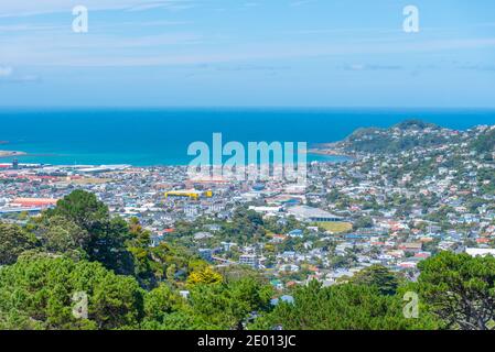 Luftaufnahme des Vororts Wellington in Neuseeland Stockfoto