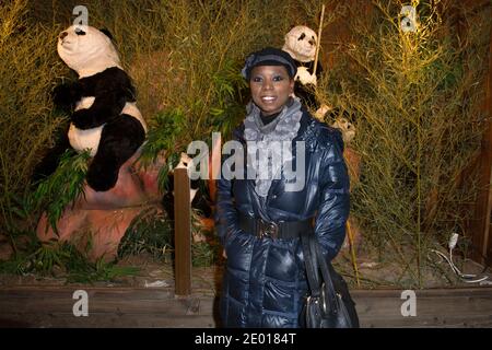 Surya Bonaly nimmt an der Eröffnung des 'Paris Village de Noel' auf den Champs-Elysées in Paris, Frankreich, am 20. November 2013 Teil. Foto von Laurent Zabulon/ABACAPRESS.COM Stockfoto