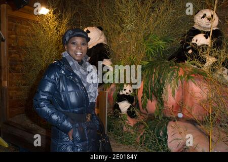 Surya Bonaly nimmt an der Eröffnung des 'Paris Village de Noel' auf den Champs-Elysées in Paris, Frankreich, am 20. November 2013 Teil. Foto von Laurent Zabulon/ABACAPRESS.COM Stockfoto