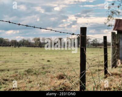 Stacheldrahtzaun, Abzäunung einer Weide auf einer Farm oder Ranch, um Rinder in Alabama, USA, zu beschränken. Stockfoto