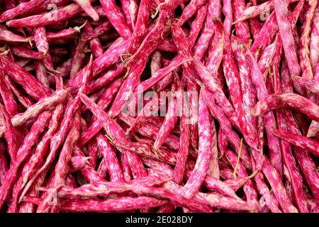 Türkisch-rosafarbene Bohnen, frisch geerntete rohe gesprenkelte Borlotti-Bohnenschoten auf einem Bauernmarkt in Istanbul, Türkei Stockfoto