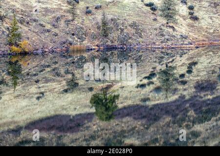 Der Hang spiegelte sich im Iron Gate Dam Reservoir in der Nähe von Hornbrook, Kalifornien, USA Stockfoto