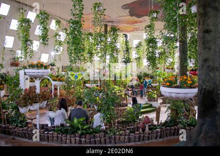 In einem der Dooms von Dubai Schmetterlingsgarten Stockfoto