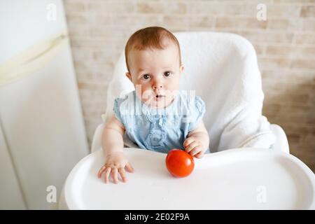 Baby essen Gemüse. Rote Tomate in kleinen Mädchen Hand in sonniger Küche. Gesunde Ernährung für Kinder. Feste Nahrung für Säuglinge. Snack oder Frühstück für Sie Stockfoto