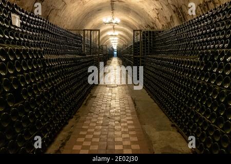 Ein langer antiker Keller mit vielen alten Weinflaschen. Herstellung von Schaumwein Stockfoto