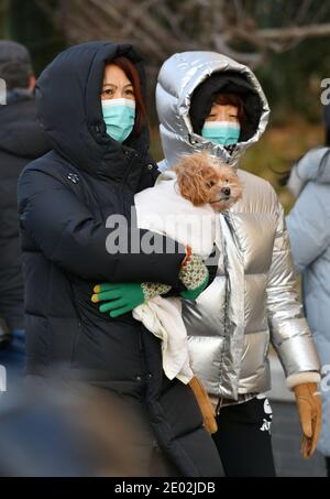 Peking, China. Dezember 2020. Eine Frau, die einen Hund in den Armen hält, geht auf der Straße in der Nähe von Xuanwumen im Bezirk Xicheng in Peking, Hauptstadt von China, 29. Dezember 2020. Eine kalte Welle brachte Stürme nach Peking am Dienstag. Quelle: Li Xin/Xinhua/Alamy Live News Stockfoto