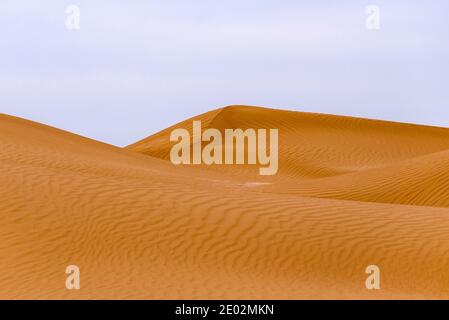 Biegung des Grats einer Sanddüne in der Wüste. Stockfoto