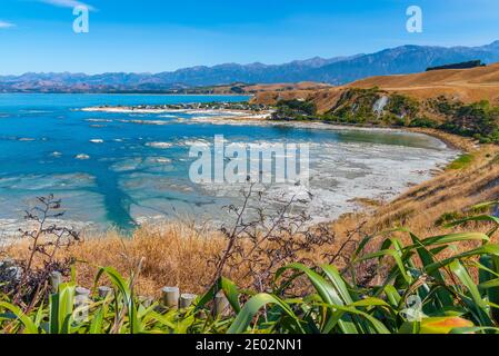 Luftaufnahme eines Fischerdorfes bei South Bay in Kaikoura, Neuseeland Stockfoto