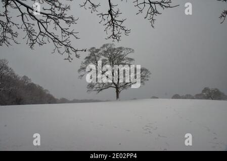 Sheffield, South Yorkshire, Großbritannien. Dezember 2020. In Sheffield fällt Schnee. Kredit: Matthew Chattle/Alamy Live Nachrichten Stockfoto