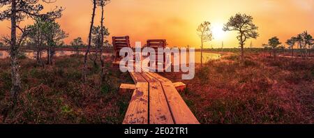 Sonnenuntergang über dem Großen Kemeri-Moor im Kemeri-Nationalpark bei Jurmala, Lettland. Leere Holzstühle, wo Sie sich entspannen und den Blick auf den Sonnenuntergang OV genießen können Stockfoto