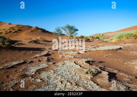 Dünen in Sossusvlei Area, Namib Naukluft Park, Namibia Stockfoto