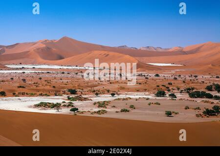 Blick von der Big Mama Dune über Sossusvlei Pan nach Deadvlei und Big Daddy Dune, Namib Naukluft Park, Namibia Stockfoto