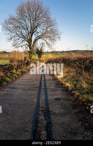 Ein langer Schatten auf einer Landstraße bei spätnachmittäglicher Sonne, Bonsall, Derbyshire Stockfoto