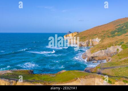 Luftaufnahme der Küste der Region Otago bei Dunedin, Neuseeland Stockfoto