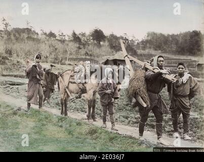 19. Jahrhundert Vintage-Foto - Bauern, die von den Feldern zurückkehren, mit Werkzeugen und einem Pferd, Japan, um 1880. Stockfoto