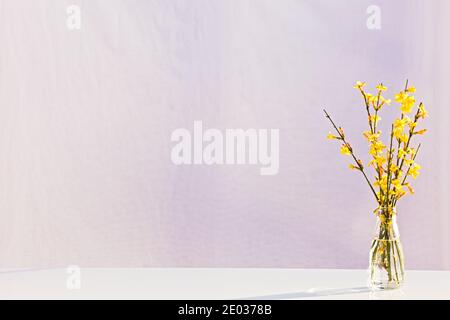 Gelbe Frühlingsblumen in Vase isoliert auf weißem Hintergrund, kopieren Raum, Stillleben Stockfoto