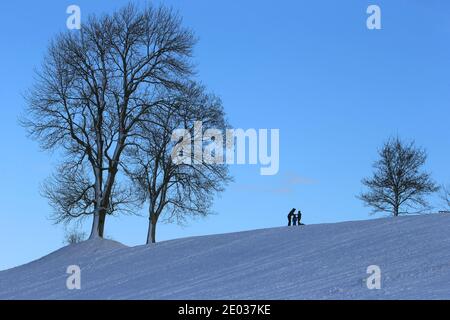 Nesselwang, Deutschland. Dezember 2020. Schlitten stehen in der Sonne auf einem Hügel. Quelle: Karl-Josef Hildenbrand/dpa/Alamy Live News Stockfoto