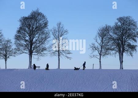 Nesselwang, Deutschland. Dezember 2020. Schlitten laufen im Sonnenschein auf einem Hügel. Quelle: Karl-Josef Hildenbrand/dpa/Alamy Live News Stockfoto