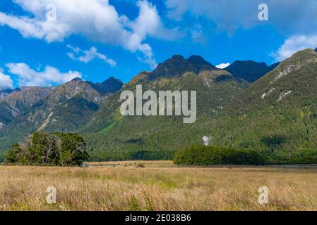 Landschaft von Knobs flach in Neuseeland Stockfoto