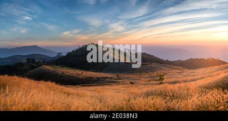 Grasfeld Tallandschaft mit Sonnenuntergang wolkigen Himmel Stockfoto