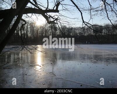 Schlachtensee, Zehlendorf, Berlin, Deutschland Stockfoto