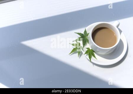 High-Winkel Schuss Tasse Milchkaffee, drei grüne Ahornblätter auf dem Teller, Tasse in hellen Ort Stockfoto