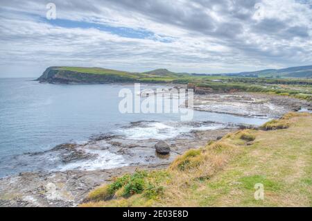 Versteinerter Wald an der Curio Bay in Neuseeland Stockfoto