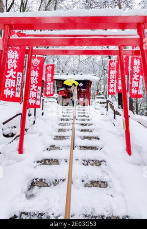 Dramatischer roter Torii-Tunnel Eingang zum Ana Mori Inari-Schrein im Sainokawara Park, Kusatsu Open Air Onsen, Japan. Stockfoto