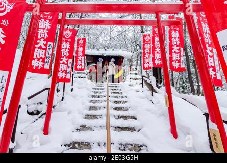 Dramatischer roter Torii-Tunnel Eingang zum Ana Mori Inari-Schrein im Sainokawara Park, Kusatsu Open Air Onsen, Japan. Stockfoto