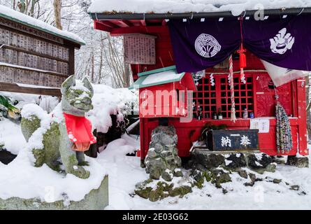 Dramatischer roter Torii-Tunnel Eingang zum Ana Mori Inari-Schrein im Sainokawara Park, Kusatsu Open Air Onsen, Japan. Stockfoto