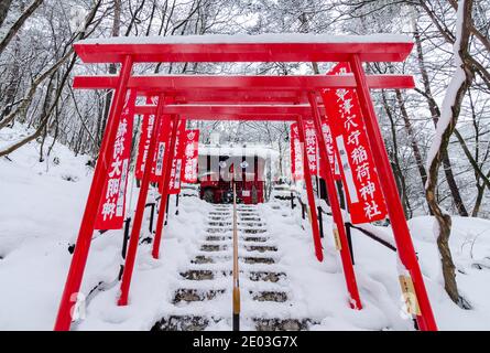 Dramatischer roter Torii-Tunnel Eingang zum Ana Mori Inari-Schrein im Sainokawara Park, Kusatsu Open Air Onsen, Japan. Stockfoto