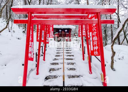 Dramatischer roter Torii-Tunnel Eingang zum Ana Mori Inari-Schrein im Sainokawara Park, Kusatsu Open Air Onsen, Japan. Stockfoto