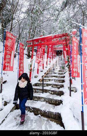 Dramatischer roter Torii-Tunnel Eingang zum Ana Mori Inari-Schrein im Sainokawara Park, Kusatsu Open Air Onsen, Japan. Stockfoto