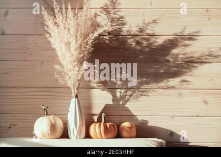 Pampas Gras in weißer Vase mit Kürbissen auf Holzgrund mit hellem Sonnenlicht. Minimalistisches Pampa Konzept. Neues, Trendiges Wohndekor. Stockfoto