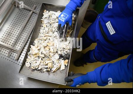 Dresden, Deutschland. Dezember 2020. Andre Ritter, Leiter des Krematoriums, sortiert die Knochenreste nach der Einäscherung im Aschezimmer des Krematoriums Dresden-Tolkewitz. Das Krematorium hat aufgrund der hohen Übersterblichkeit bei der Corona-Pandemie die Kapazitätsgrenze erreicht und ist nun auf die Hilfe anderer Krematorien angewiesen. Quelle: Sebastian Kahnert/dpa-Zentralbild/dpa/Alamy Live News Stockfoto