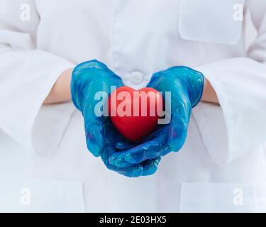 Nahaufnahme. Arzt in Schutzhandschuhen hält das Herz. Stockfoto