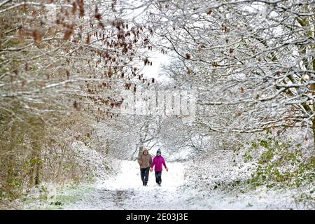 Leicester, Leicestershire, Großbritannien 29. Dezember 2020. Wetter In Großbritannien. Schnee. Spaß im Schnee, da der Bradgate Park in Leicestershire von einer Schneedecke bedeckt ist. Alex Hannam/Alamy Live News Stockfoto