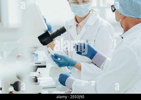 Wissenschaftler forschen an einem neuen Medikament. Stockfoto