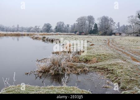 Ländlicher Winter Surrey Landschaft, Südostengland, frostige Landschaft am Fluss Wey in der Nähe von Pyrford nach sehr niedrigen Temperaturen und eisigen Nebel Stockfoto