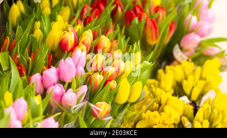 Auf einem Blumenständer stehen Frühlingsblumen wie Tulpen und Narzissen zum Verkauf Stockfoto