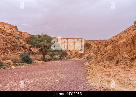 Reise in Israel. Der Red Canyon Aktivität Erholung, Wandern im Freien und genießen Sie natürliche Attraktionen in der Nähe von Eilat. Israel zu Fuß Stockfoto