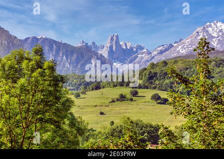 Blick vom Mirador del PICU Urriellu auf den 2,529 Meter hohen Berg Naranjo de Bulnes (PICU Urriellu in Asturien), einem ikonischen Gipfel in den Picos d Stockfoto