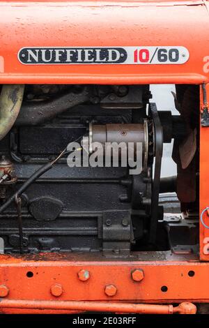 Antiker Nuffield Traktor bei einer Oldtimer Traktor Rallye im Norden Ostengland Stockfoto