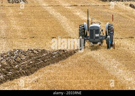 Antik grau Ferguson Traktor bei einem Oldtimer Traktor Pflügen Wettbewerb In Nordostengland Stockfoto