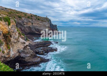 Taiaroa geht auf die Halbinsel Otago, Neuseeland Stockfoto