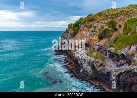 Taiaroa geht auf die Halbinsel Otago, Neuseeland Stockfoto