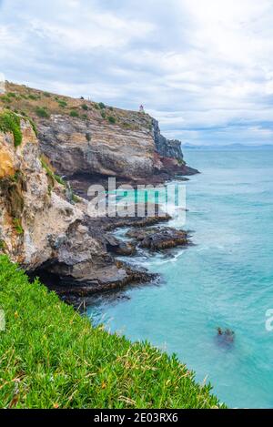 Taiaroa geht auf die Halbinsel Otago, Neuseeland Stockfoto